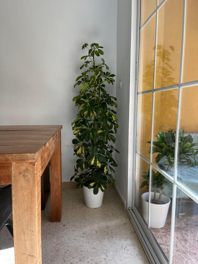 Apartamento La Biznaga Malaga Exterior photo