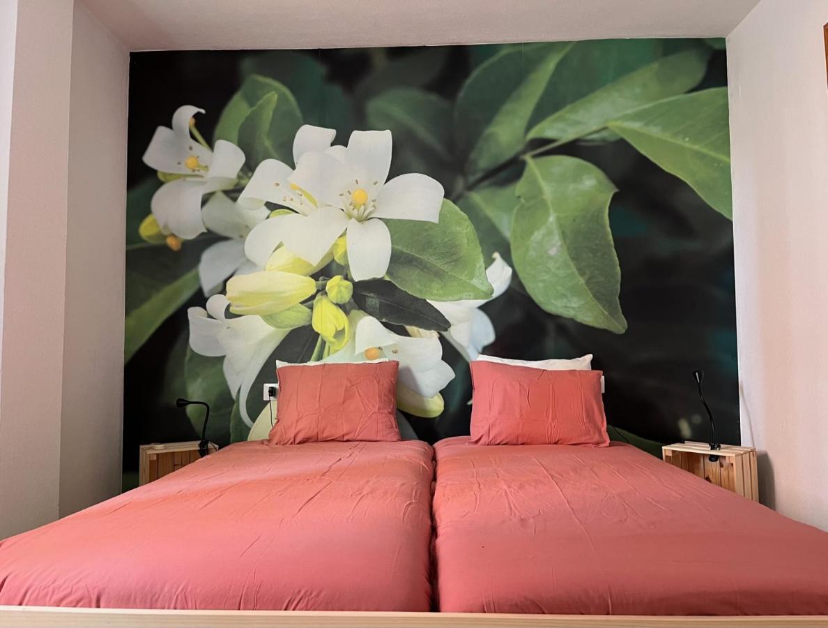 Apartamento La Biznaga Malaga Exterior photo